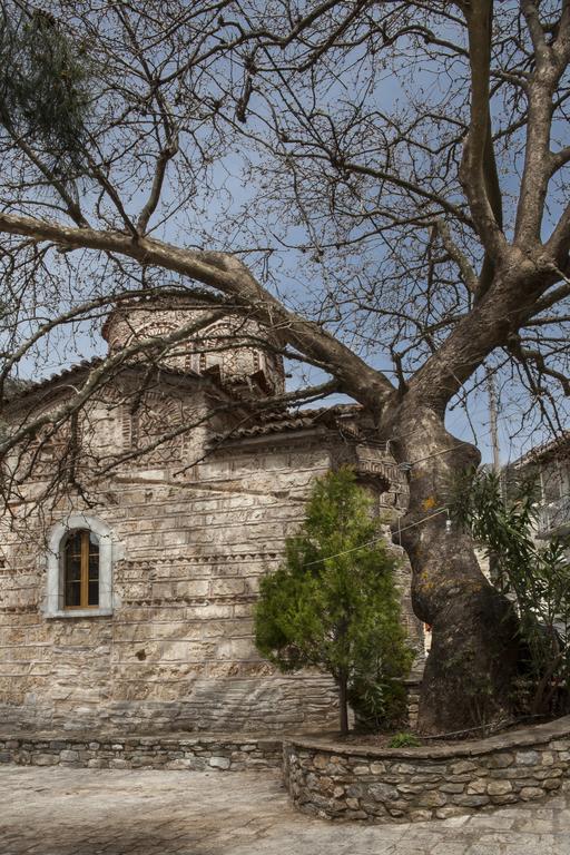 Kastania * Kastanea (Mani)